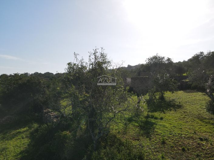 Image No.3-Plot for sale