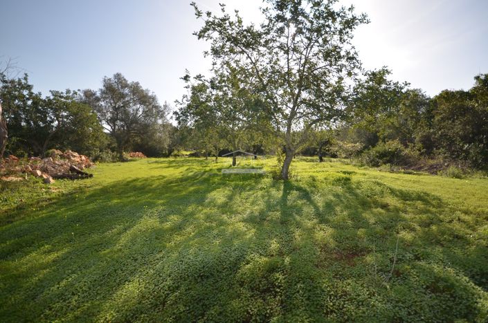 Image No.6-Plot for sale