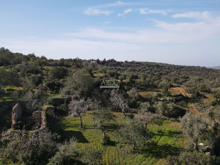 Image No.8-Plot for sale