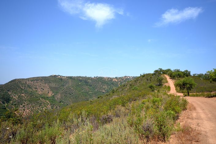 Image No.26-Terrain de 3 chambres à vendre à Malhão
