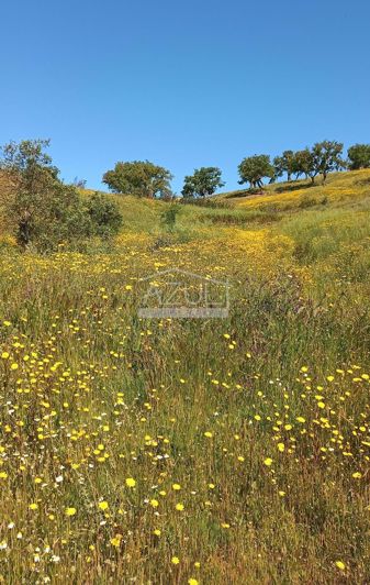 Image No.4-Terrain de 3 chambres à vendre à Malhão