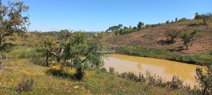 Image No.5-Terrain de 3 chambres à vendre à Malhão