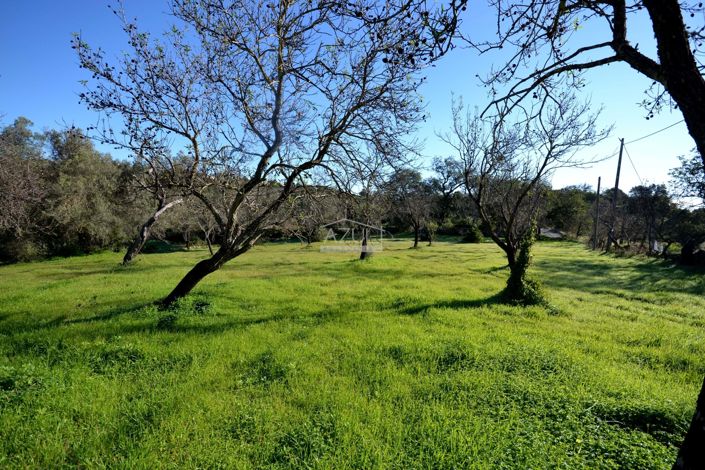 Image No.2-Plot for sale