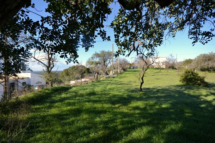 Image No.9-Plot for sale