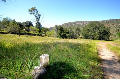 2425-342820-1254606e3c95c5e5ce938638595c7f664