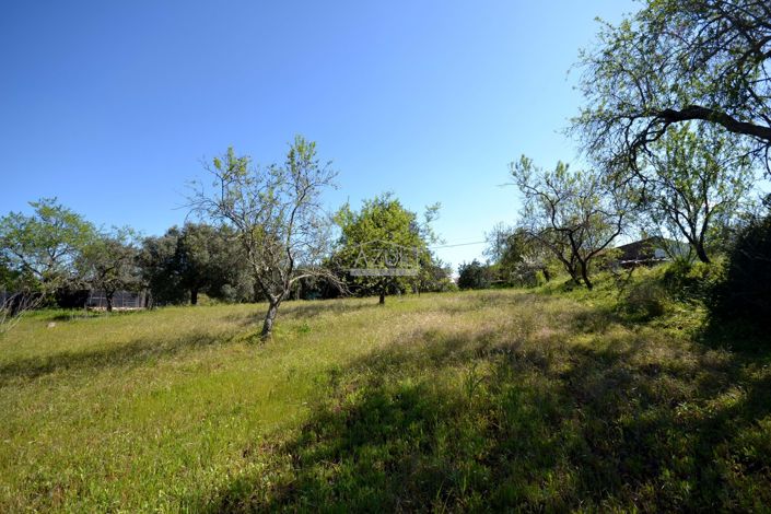 Image No.11-Plot for sale