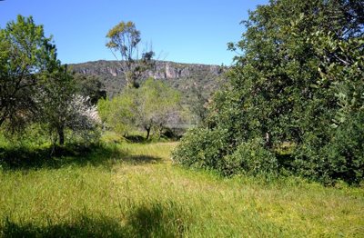 2425-342820-1254606e3c95c5e5ce938638595c7f664