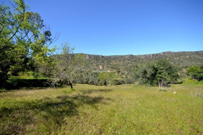 2425-342820-1254606e3c95c5e5ce938638595c7f664