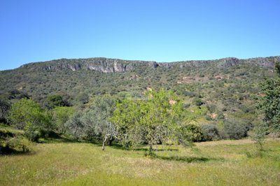 2425-342820-1254606e3c95c5e5ce938638595c7f664