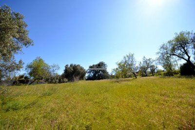 2425-342820-1254606e3c95c5e5ce938638595c7f664