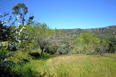 2425-342820-1254606e3c95c5e5ce938638595c7f664