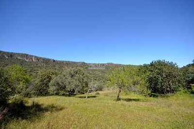 2425-342820-1254606e3c95c5e5ce938638595c7f664