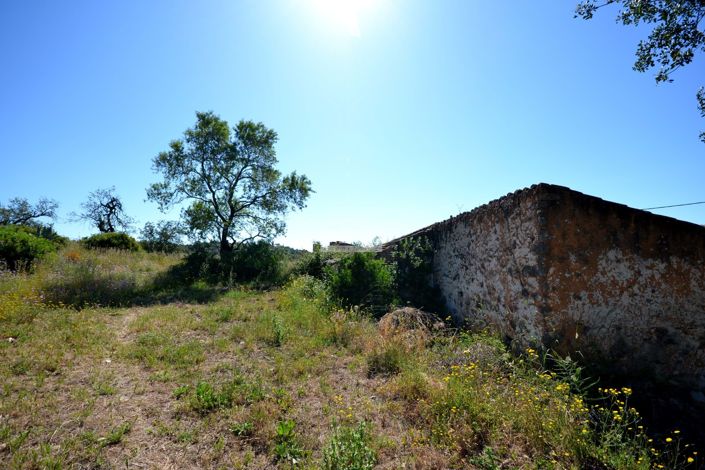 Image No.22-Terre de 21 chambres à vendre à Loule
