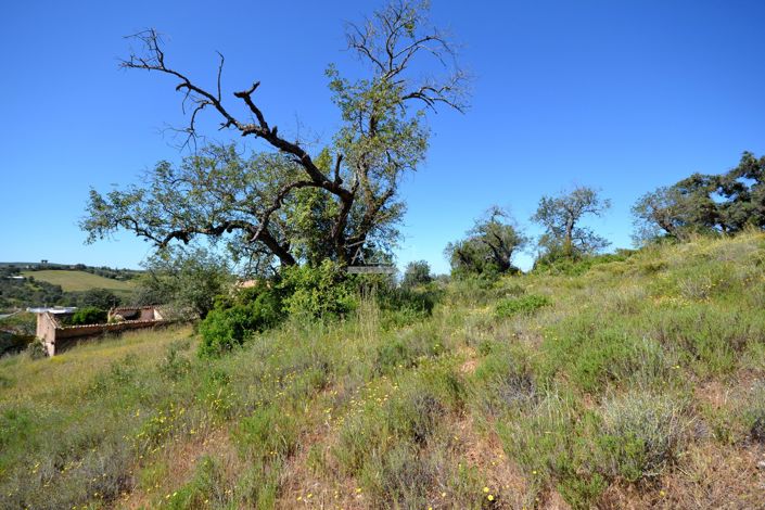 Image No.25-Terre de 21 chambres à vendre à Loule