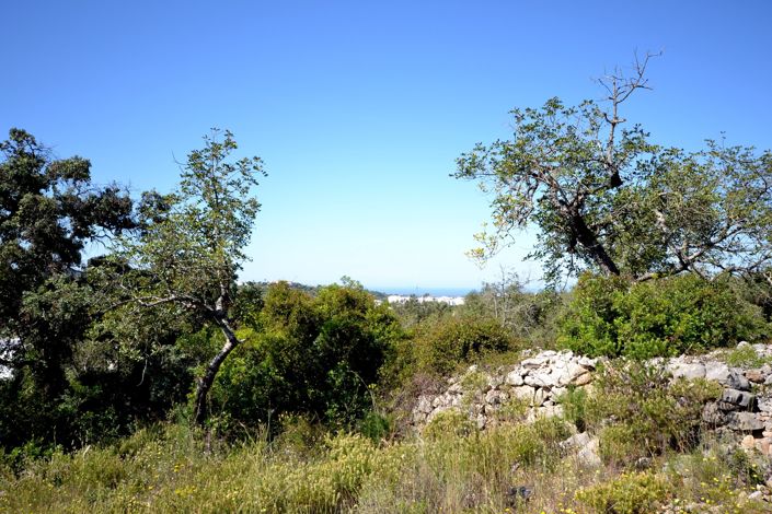 Image No.27-Terre de 21 chambres à vendre à Loule
