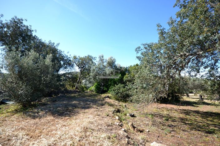 Image No.11-Land for sale