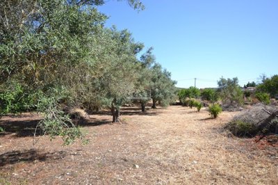 2425-350730-1254606e3c95c5e5ce938638595c7f664