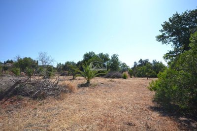 2425-350730-1254606e3c95c5e5ce938638595c7f664