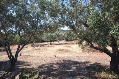 2425-350730-1254606e3c95c5e5ce938638595c7f664