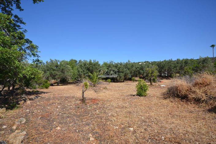 Image No.19-Land for sale