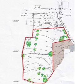 2425-350730-1254606e3c95c5e5ce938638595c7f664