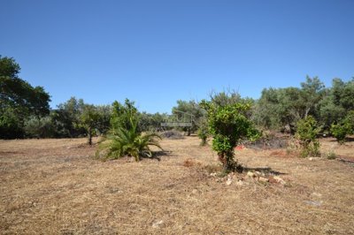 2425-350730-1254606e3c95c5e5ce938638595c7f664