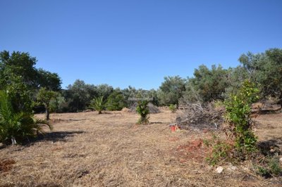 2425-350730-1254606e3c95c5e5ce938638595c7f664