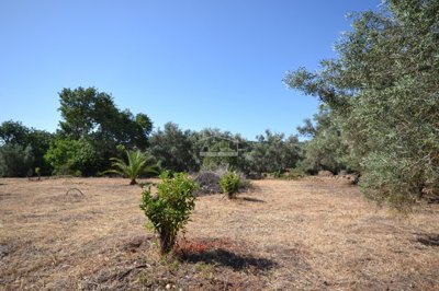 2425-350730-1254606e3c95c5e5ce938638595c7f664