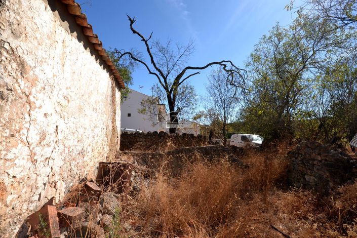 Image No.11-Propriété à vendre à Loule