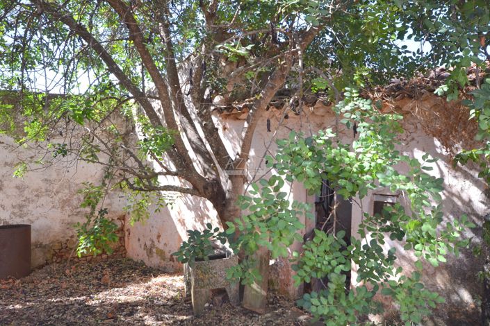 Image No.16-Propriété à vendre à Loule