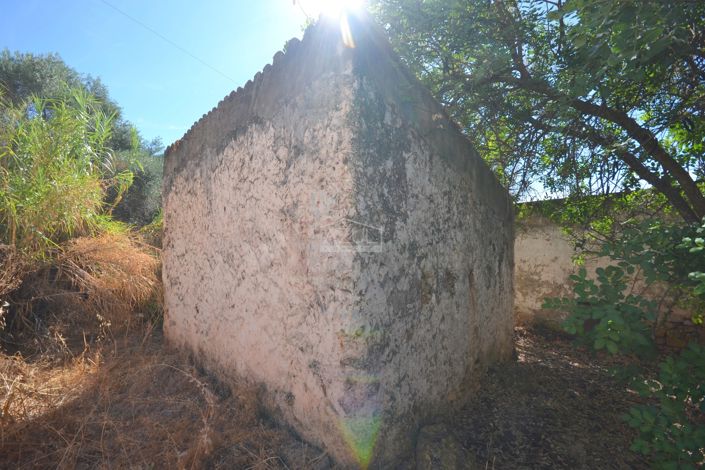 Image No.18-Propriété à vendre à Loule