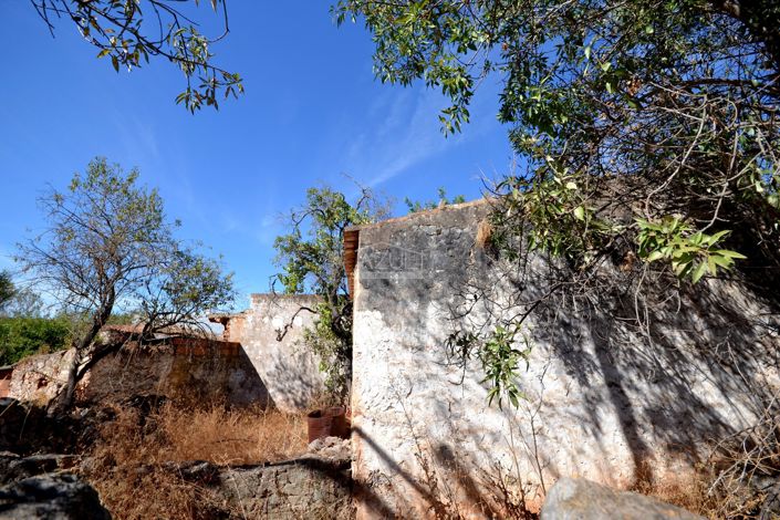 Image No.20-Propriété à vendre à Loule