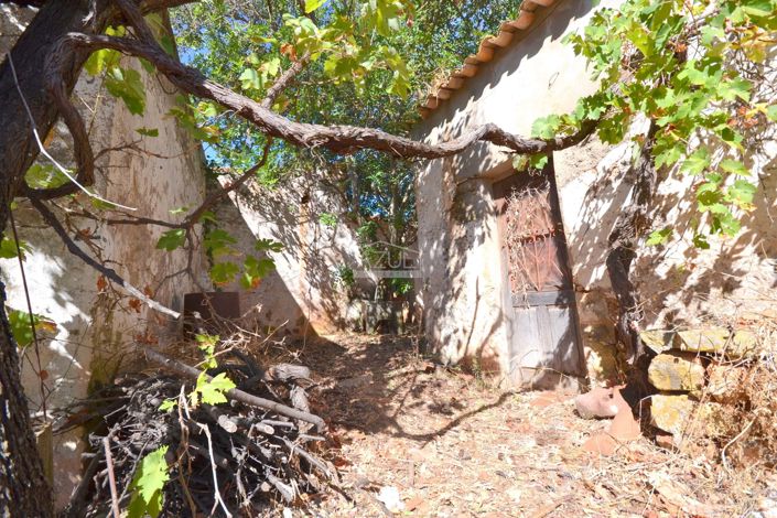 Image No.5-Propriété à vendre à Loule