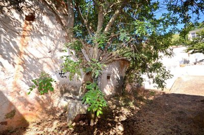 2425-354083-1254606e3c95c5e5ce938638595c7f664