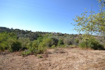 2425-357507-1254606e3c95c5e5ce938638595c7f664