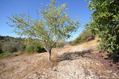 2425-357507-1254606e3c95c5e5ce938638595c7f664