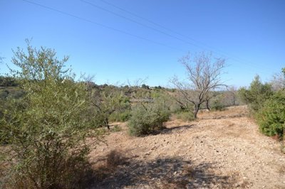 2425-357507-1254606e3c95c5e5ce938638595c7f664