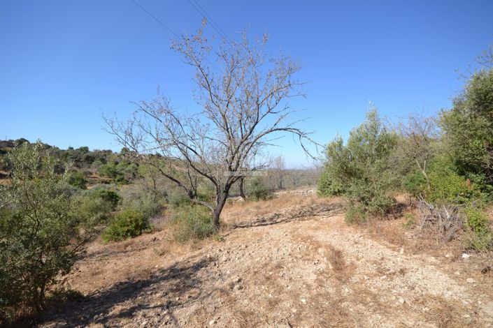 Image No.15-Land for sale