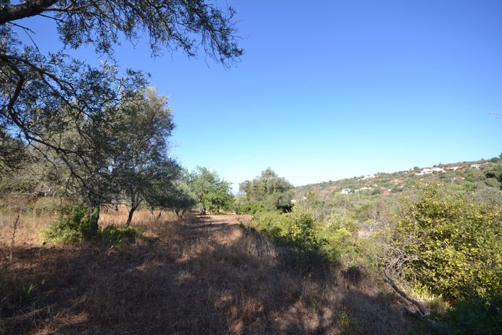 Image No.5-Land for sale