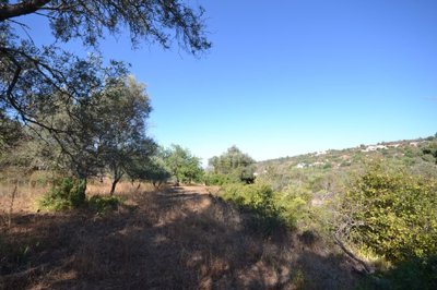 2425-357507-1254606e3c95c5e5ce938638595c7f664