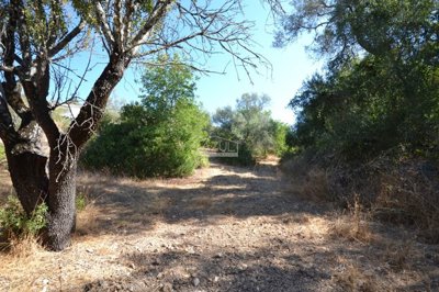 2425-357507-1254606e3c95c5e5ce938638595c7f664