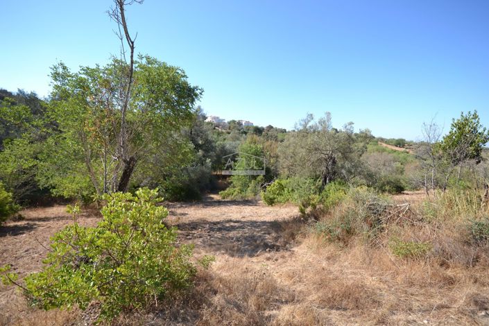 Image No.8-Land for sale