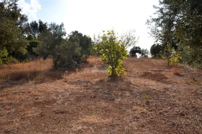 2425-359332-1254606e3c95c5e5ce938638595c7f664