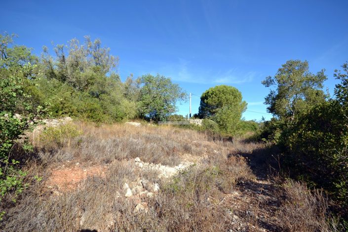 Image No.11-Plot for sale