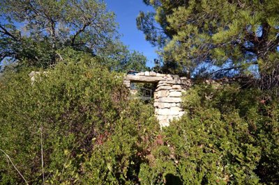 2425-360885-1254606e3c95c5e5ce938638595c7f664