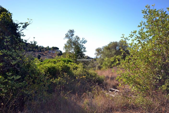 Image No.13-Plot for sale