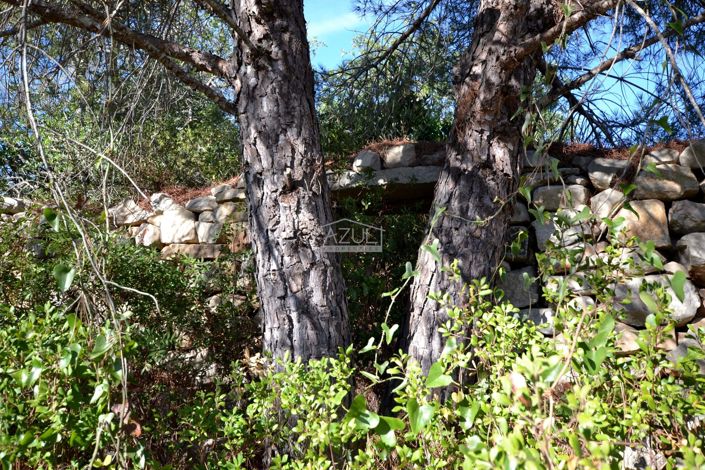 Image No.15-Plot for sale