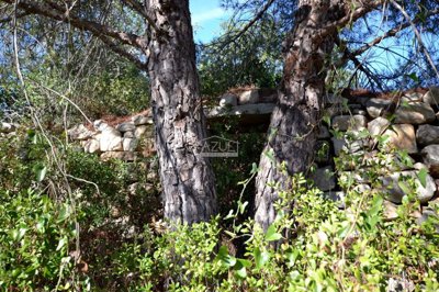 2425-360885-1254606e3c95c5e5ce938638595c7f664