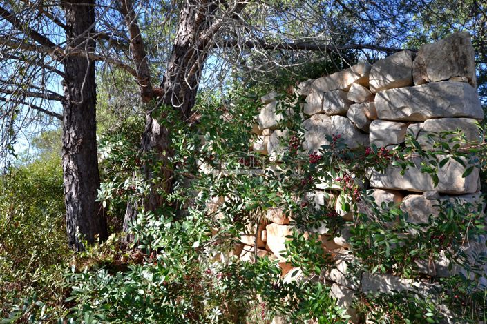 Image No.16-Plot for sale