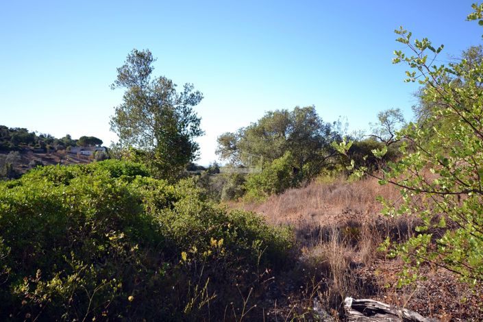 Image No.5-Plot for sale